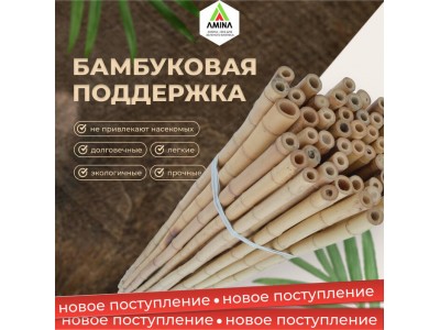 Новое поступление бамбуковой поддержки для растений в Амина