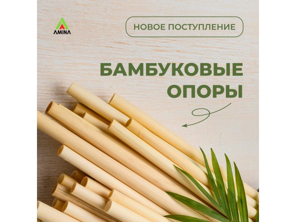 Новое поступление: бамбуковые опоры и системы поддержки для растений в Амина!