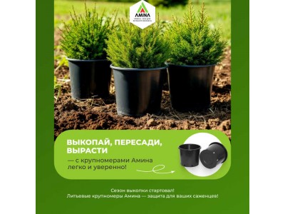 Время выкопки — время прочных горшков! Крупномеры Амина для ваших посадок!