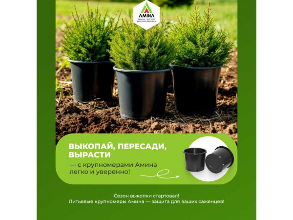 Время выкопки — время прочных горшков! Крупномеры Амина для ваших посадок!