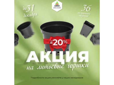 Акция на литьевые горшки в Amina: скидки до 20% до 31 декабря 2025