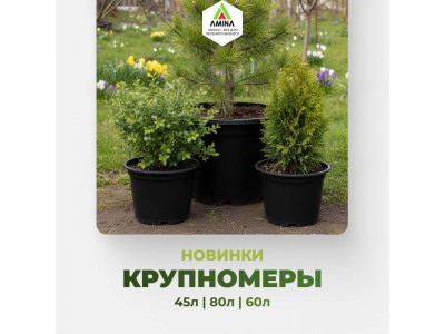 «Амина» расширяет горизонты: Новые литьевые крупномерные горшки для деревьев и кустарников – 45л, 60 л, 80л!