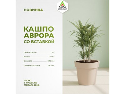 Кашпо "Аврора" от АМИНА: Новинка с Дренажной Вставкой – Откройте Предзаказ!