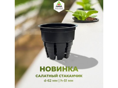 Новинка от Амина: термоформованный салатный стаканчик для гидропоники 62×51 мм