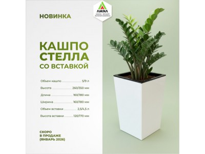 Новое инновационное кашпо для цветов со вставкой "Стелла" – скоро в продаже на Amina