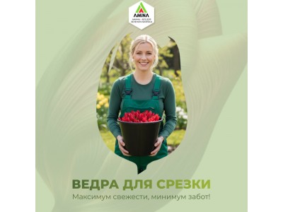 Обеспечьте идеальную свежесть тюльпанов к 8 Марта: Профессиональные ведра для срезки от Амина