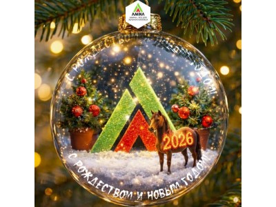 С Новым 2026 Годом и Рождеством! Амина желает Процветания и Успехов!