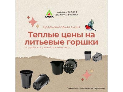 Предновогодняя акция 